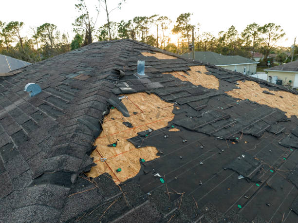Professional Roofing Services in Leslie, MI